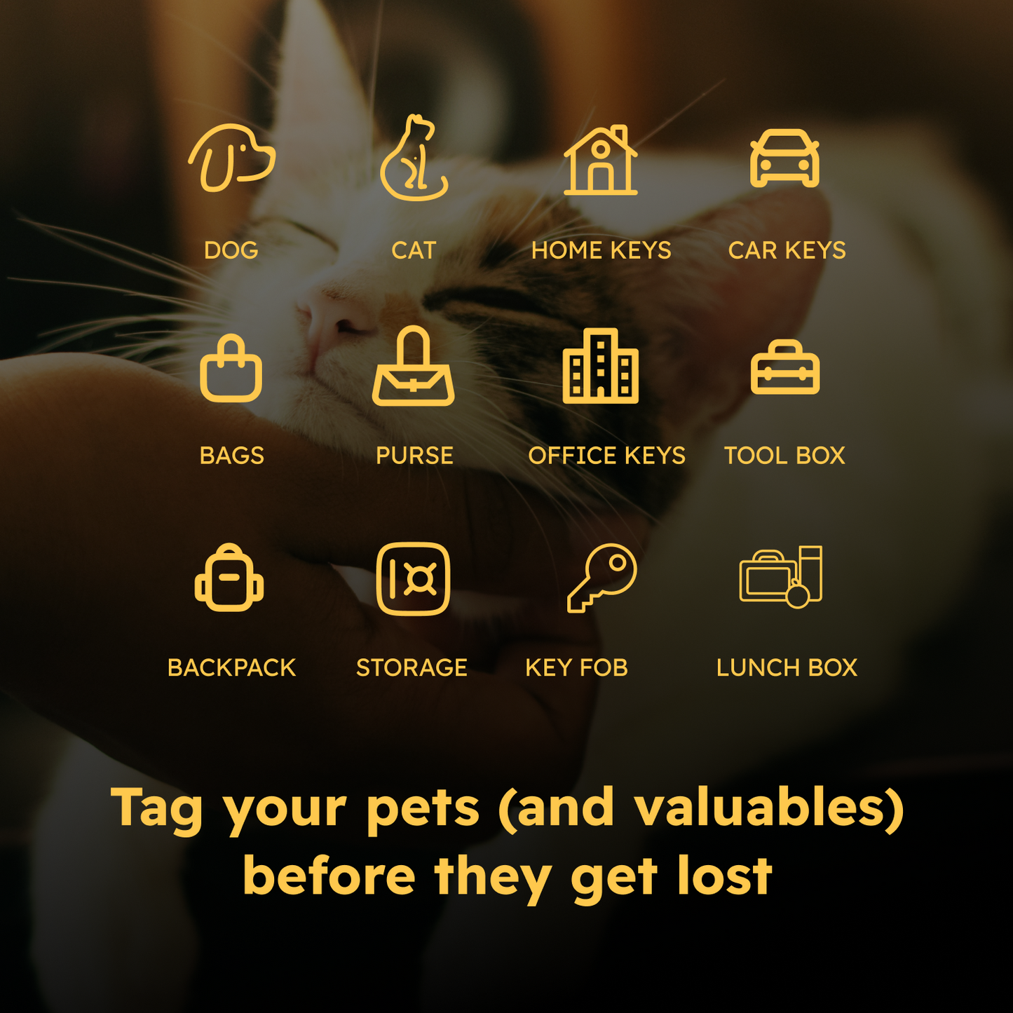 Smart Pet Tags