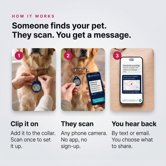 Smart Pet Tags